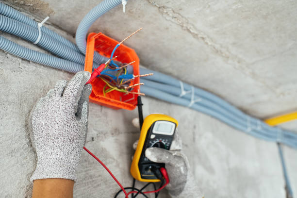 Best Electric Panel Repair  in Arnold, MD